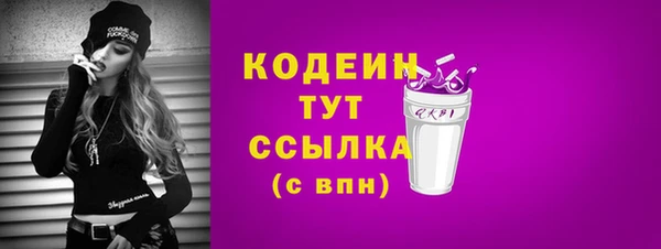 apvp Кукмор